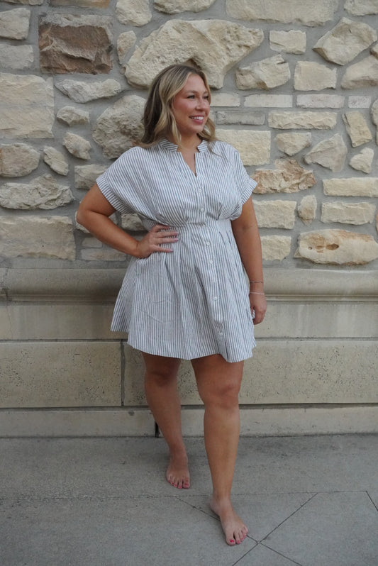 Stand Up Collar Pleated Waist Flare Dress